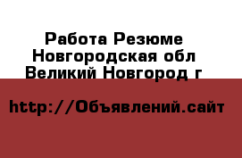 Работа Резюме. Новгородская обл.,Великий Новгород г.